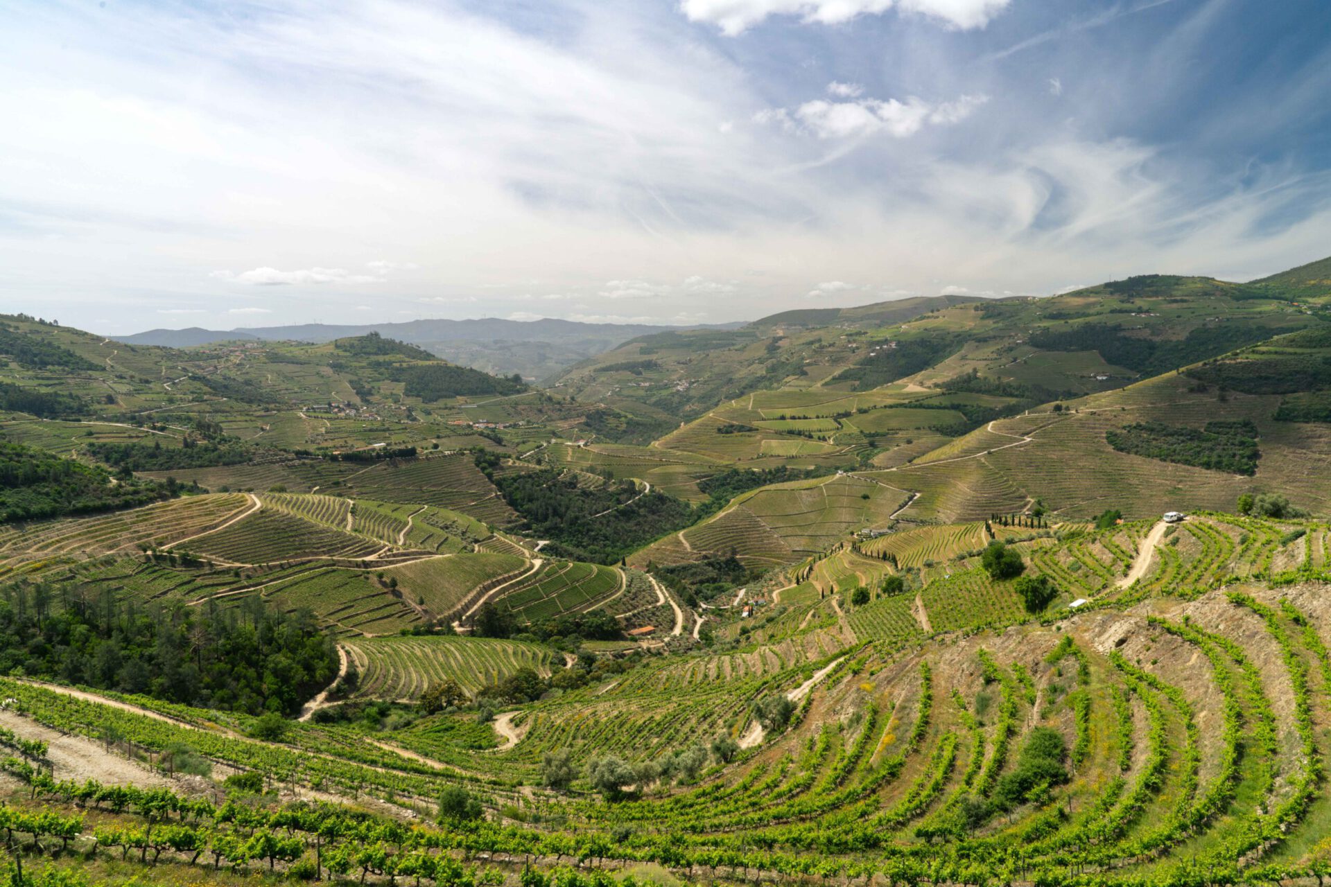 Douro valley views