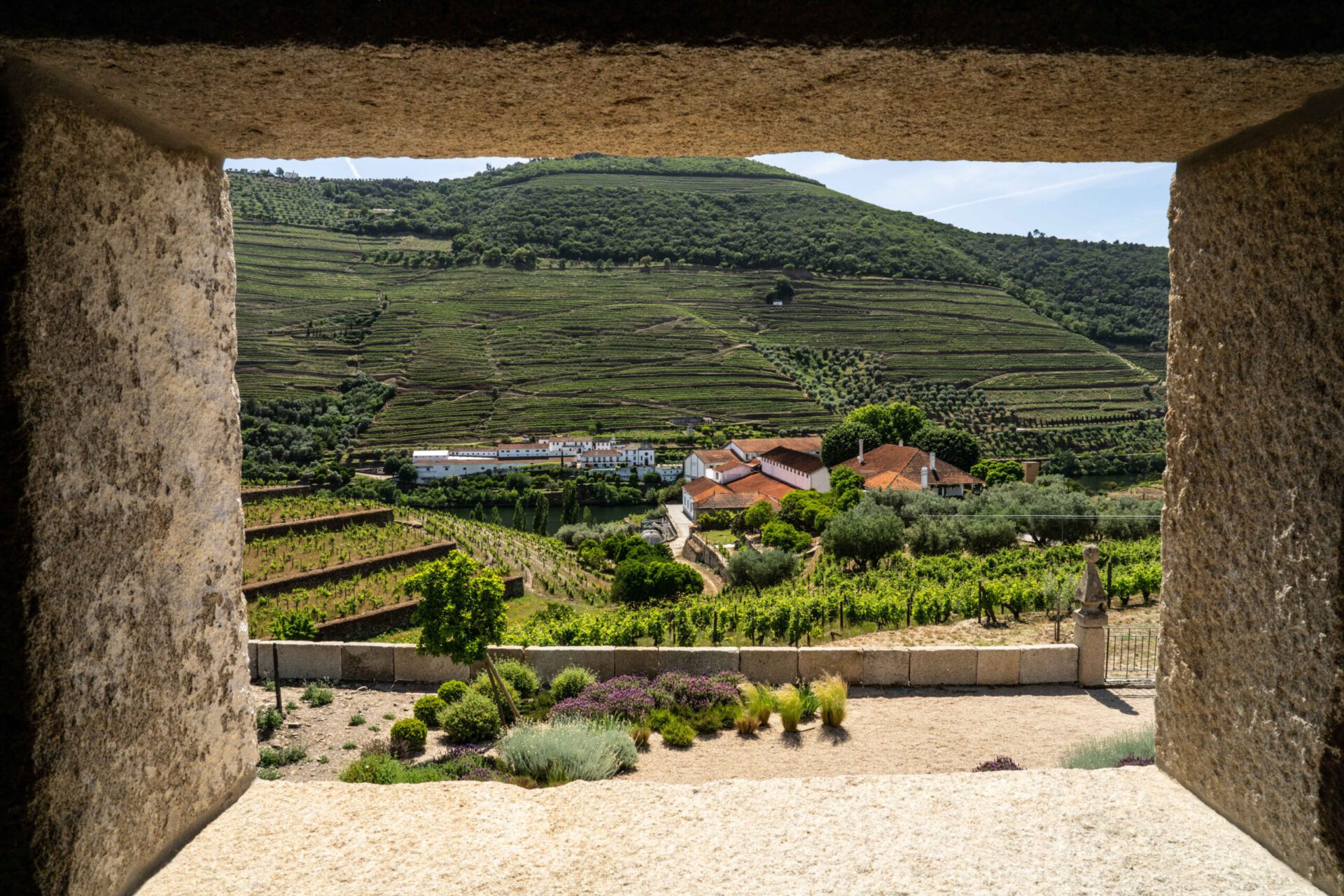 Douro vineyards views